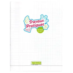 Calligraphe 5x Arbeitsheft 48Bl 24x32 frz Lin+BL- Farblos 18189C