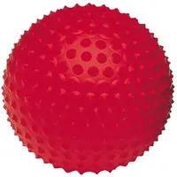 Togu Senso Ball