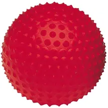 Togu Senso Ball