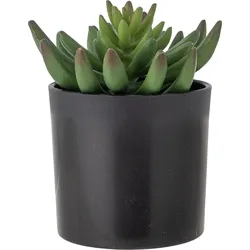 Bloomingville Künstliche Topfblume S Echeveria