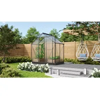 Vitavia Gewächshaus Triton 2500 Schwarz 2,6 m2 inkl. Fundament