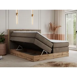 mks möbel Boxspringbett 160 x 200 cm H3 Braun