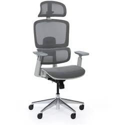 Bürostuhl  WILMOT, grau Konstruktion, grau