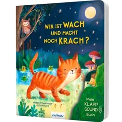 Thienemann Mein Klapp-Sound-Buch: Wer ist wach und macht noch Krach?