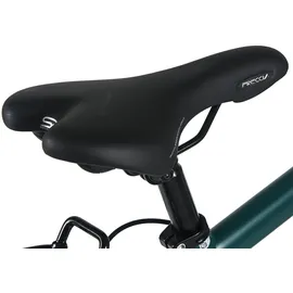 Dacapo Ravenna 50 28 Zoll RH 48 cm Herren grün