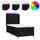 vidaXL Boxspringbett 100 x 200 cm Schwarz