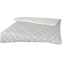 BestLivings Winter Wende Steppbett 135x200cm Silber,