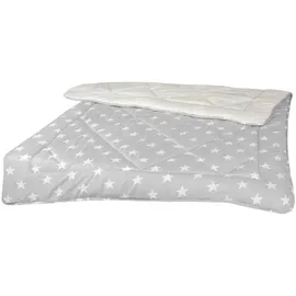 BestLivings Winter Wende Steppbett 135x200cm Silber,