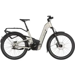 Riese & Müller Homage5 GT Pinion 800 Wh silber - 27,5" - 51 cm