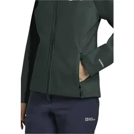 Jack Wolfskin Bornberg Jacke - Sago Palm - S