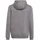 adidas Entrada 22 Team Grey Four 128