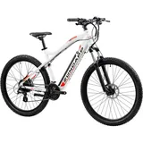 Zündapp E-Bike »Z898«, 10 Gang