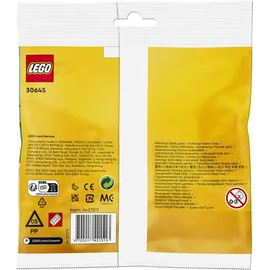 LEGO 30645 Schneemann