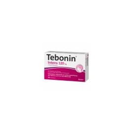 Dr. Willmar Schwabe Tebonin intens 120 mg Filmtabletten 30 St.