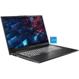 CAPTIVA Power Starter I99-218CH 17,3'' Intel Core i5-1335U 32 GB RAM 1 TB SSD ohne Betriebssystem Schwarz
