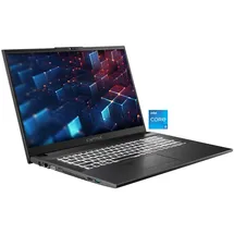 CAPTIVA Power Starter I99-218CH 17,3'' Intel Core i5-1335U 32 GB RAM 1 TB SSD ohne Betriebssystem Schwarz