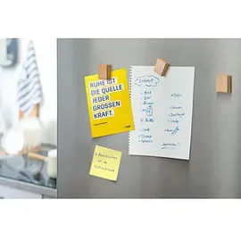 Sigel Magnete braun, Holz 3,3 x 3,3 x 0,9 cm, 4 St.