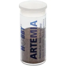 Hobby Artemia-Eier 20 ml