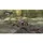 Bayonetta & Vanquish 10th Anniversary Bundle - Special Launch Edition, Xbox One, M (Reif), Physische Medien