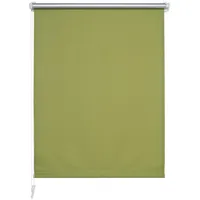 LIEDECO Seitenzugrollo 45 x 150 cm grün