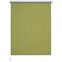 LIEDECO Seitenzugrollo 45 x 150 cm grün