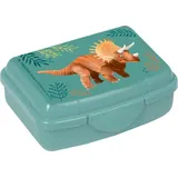 Coppenrath Verlag Mini-Snackbox - Dino Friends