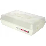 KADAX Kuchenbox mit Deckel, Kuchenbehälter, mit Beitrag, Creme