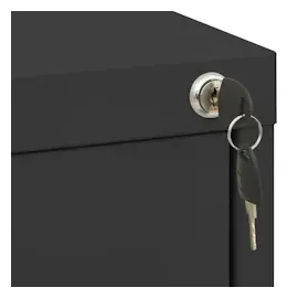 vidaXL Aktenschrank Anthrazit 46x62x72,5 cm Stahl