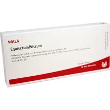 Wala EQUISETUM/VISCUM Ampullen