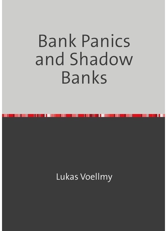 Bank Panics And Shadow Banks - Lukas Voellmy, Kartoniert (TB)