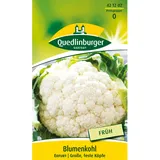 Quedlinburger Blumenkohl ''Erfurt''