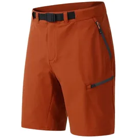 Dare 2b Tuned In Pro II Kurze Hose Arabian Spice 50