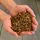 Lyra Pet 5 kg Lyra Pet® Mehlwürmer-/Soldatenfliegenlarven-Mix in 30 L Tonne