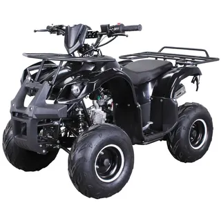 ACTIONBIKES MOTORS Benzin-Kinderquad S-8 Farmer 125 ccm ATV Not-Aus-Leine, Automatik Alarmanlage, Scheibenbremse (Schwarz)