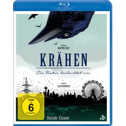 Krähen - Die Natur beobachtet uns