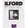 Ilford MG RC DL 44M 30x40