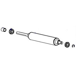 Zebra Platen Roller, P1083347-012