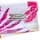 VENICE BEACH Bügel-Bikini Damen Weiß/Bedruckt 38 Cup D