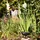 Relaxdays 3x Taubenschreck Krähe, Dekofigur als Vogelscheuche, stehende Figur für Taubenabwehr, Gartenfigur, schwarz