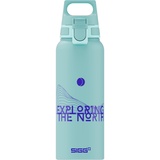 Sigg WMB ONE Pathfinder Glacier 1,0Liter