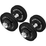 Guss Kurzhantel-Set 50Kg (2x25) Hantelscheiben Hantelset