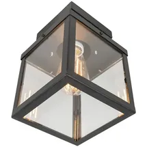 QAZQA Outdoor-Deckenleuchte Edelstahl 1-flammig E27 schwarz