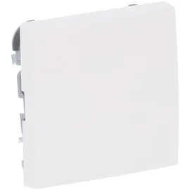 Busch-Jaeger Wippe 2506-914