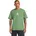 myrtle XL