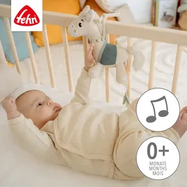 Fehn Mini-Spieluhr Pferd