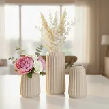 Relaxdays Vasen 3er Set, Blumenvasen, 3 versch. Größen, Frisch- & Trockenblumen, Dekovase aus Keramik, beige