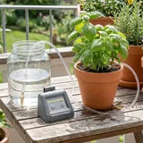 Nedis SmartLife Bewässerungssystem 10 Pflanzen Wasserpumpe 10 m grau