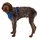Ruffwear Front Range Hundegeschirr blue pool M