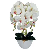 damich Künstliche Orchidee im Topf Gummi - Modell 3pgbb, mit Moos, 60 cm hoch, 3 Stielen mit vielen Blumen (Weiß mit rosa Herz)