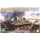 Takom Pzkpfwg. V Panther A late 2in1 1:35